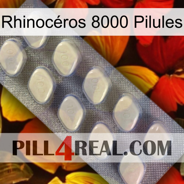 Rhinocéros 8000 Pilules 08